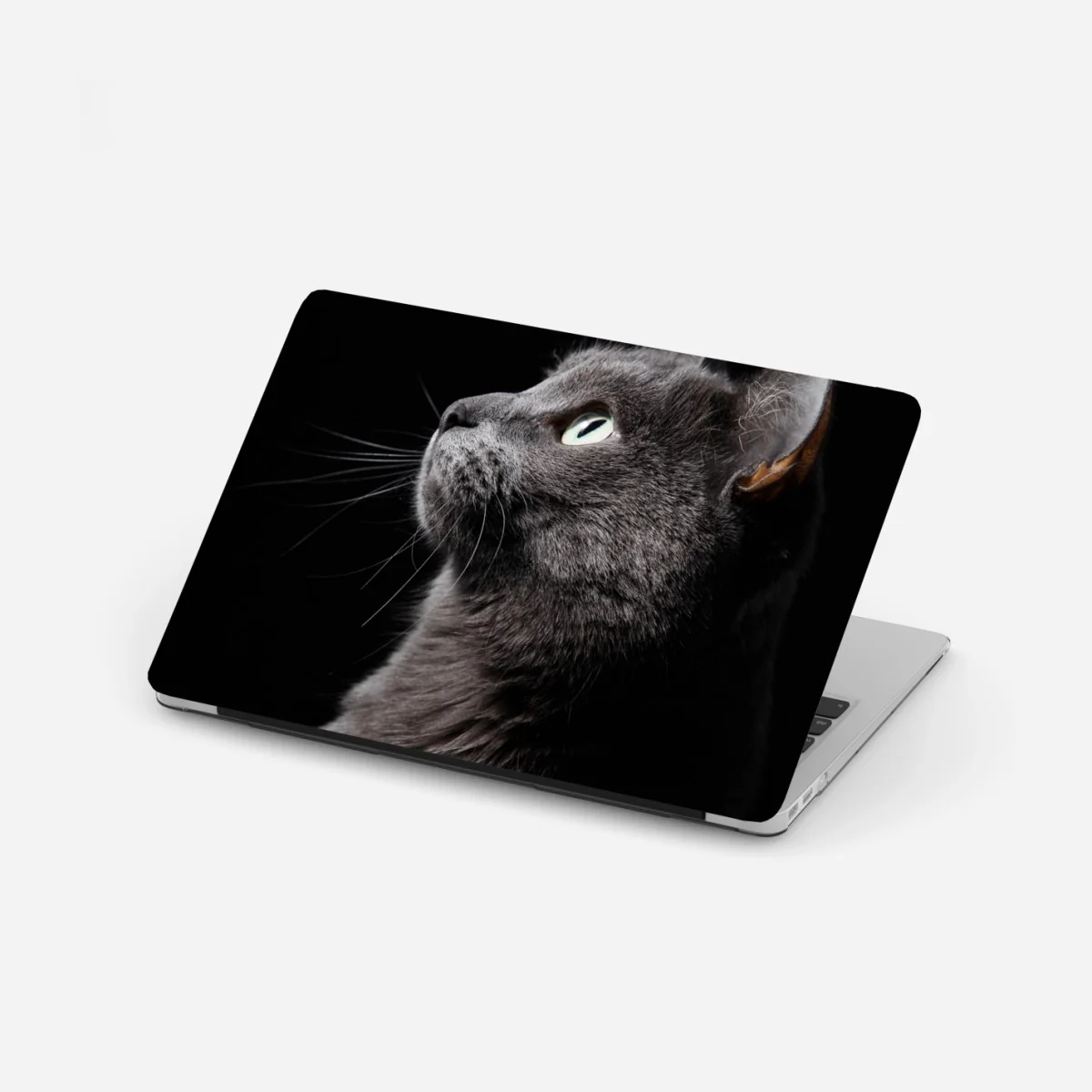 Laptop-Aufkleber elegantes porträt einer grauen katze – Wallnifity®