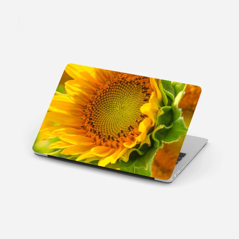 Laptop-Aufkleber sonnenaufgang über der sommerwiese – Wallnifity®