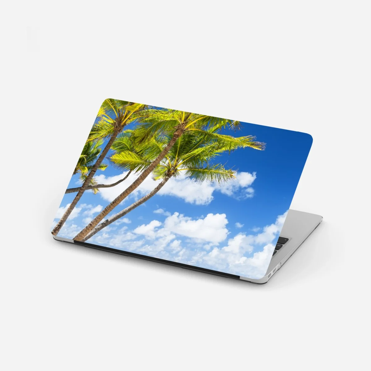 Laptop-Aufkleber tropischer palmstrand in Punta Cana – Wallnifity® Laptop-Aufkleber tropischer palmstrand in Punta Cana – Wallnifity®