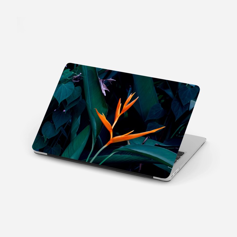 Laptop-Aufkleber vintage aquarell leopard im tropischen dschungel – Wallnifity®