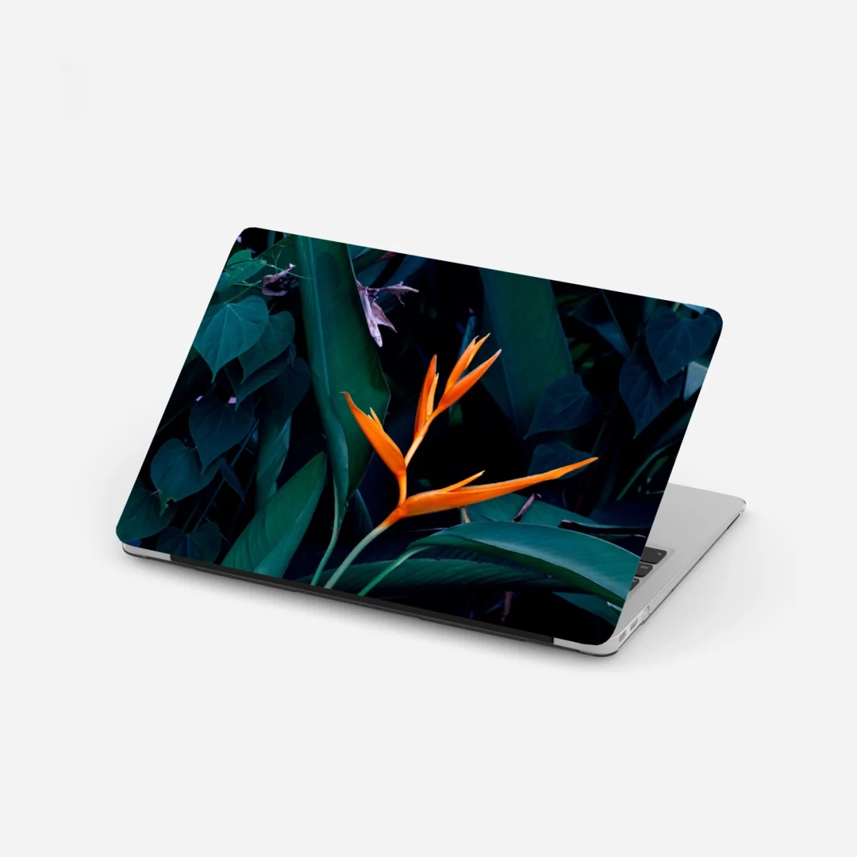 Laptop-Aufkleber leuchtende strelitzie vor tiefgrünen blättern – Wallnifity® Laptop-Aufkleber leuchtende strelitzie vor tiefgrünen blättern – Wallnifity®