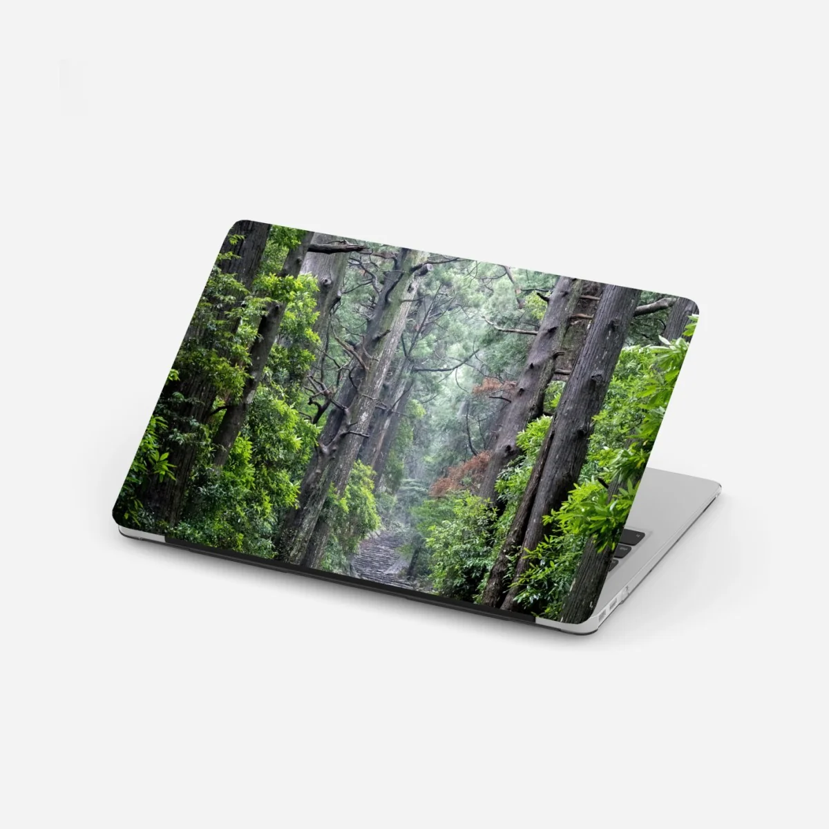 Laptop-Aufkleber mystischer waldweg zwischen alten bäumen – Wallnifity® Laptop-Aufkleber mystischer waldweg zwischen alten bäumen – Wallnifity®