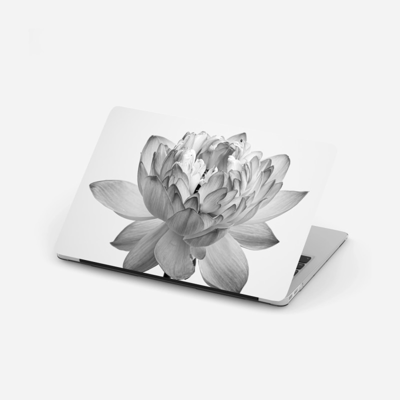 Laptop-Aufkleber sonniger grüner wald im frühling – Wallnifity®