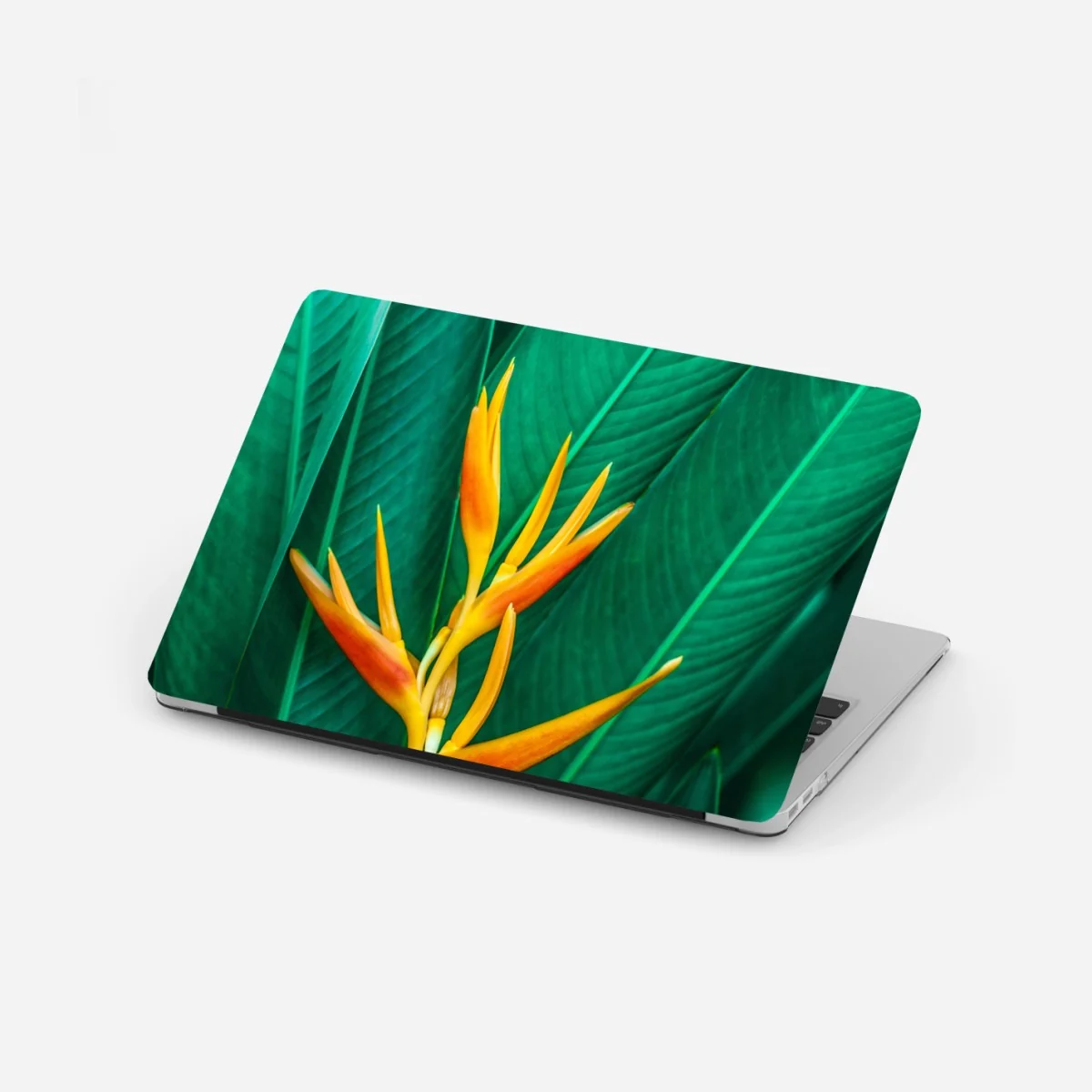 Laptop-Aufkleber leuchtende tropische paradiesvogelblume auf grünen blättern – Wallnifity® Laptop-Aufkleber leuchtende tropische paradiesvogelblume auf grünen blättern – Wallnifity®