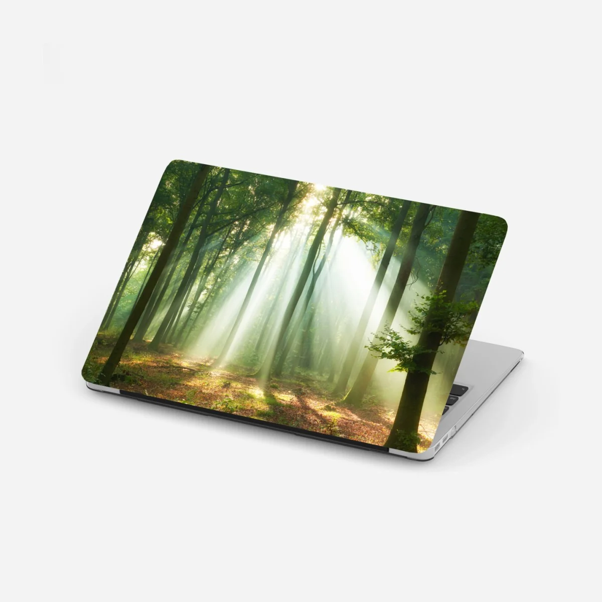 Laptop-Aufkleber morgendliches licht im wald – Wallnifity® Laptop-Aufkleber morgendliches licht im wald – Wallnifity®