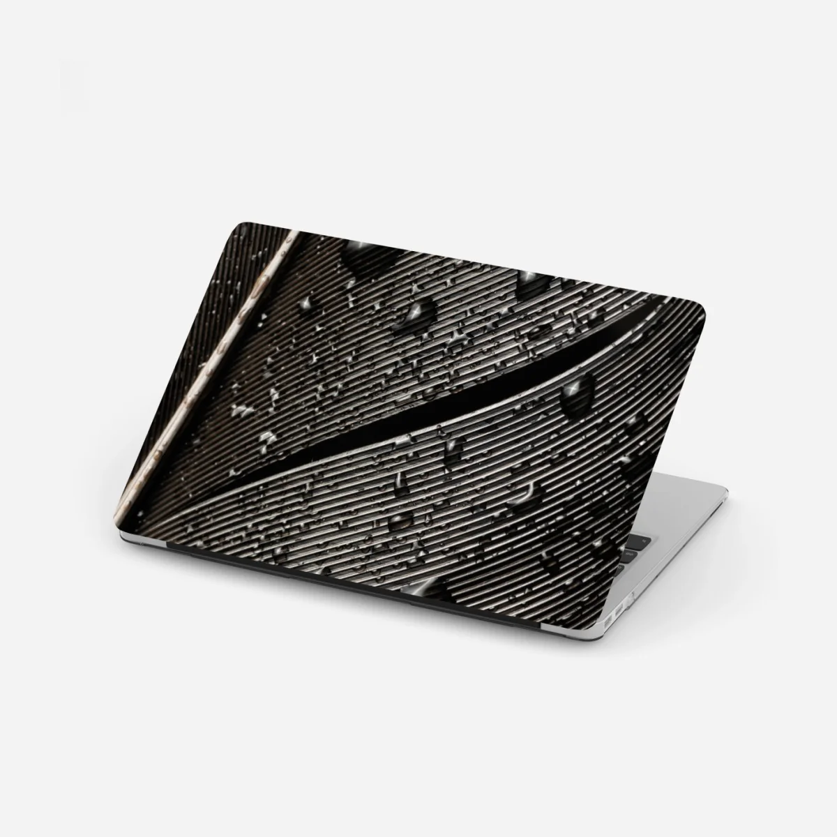 Laptop-Aufkleber monochrome feder mit wassertropfen – Wallnifity® Laptop-Aufkleber monochrome feder mit wassertropfen – Wallnifity®
