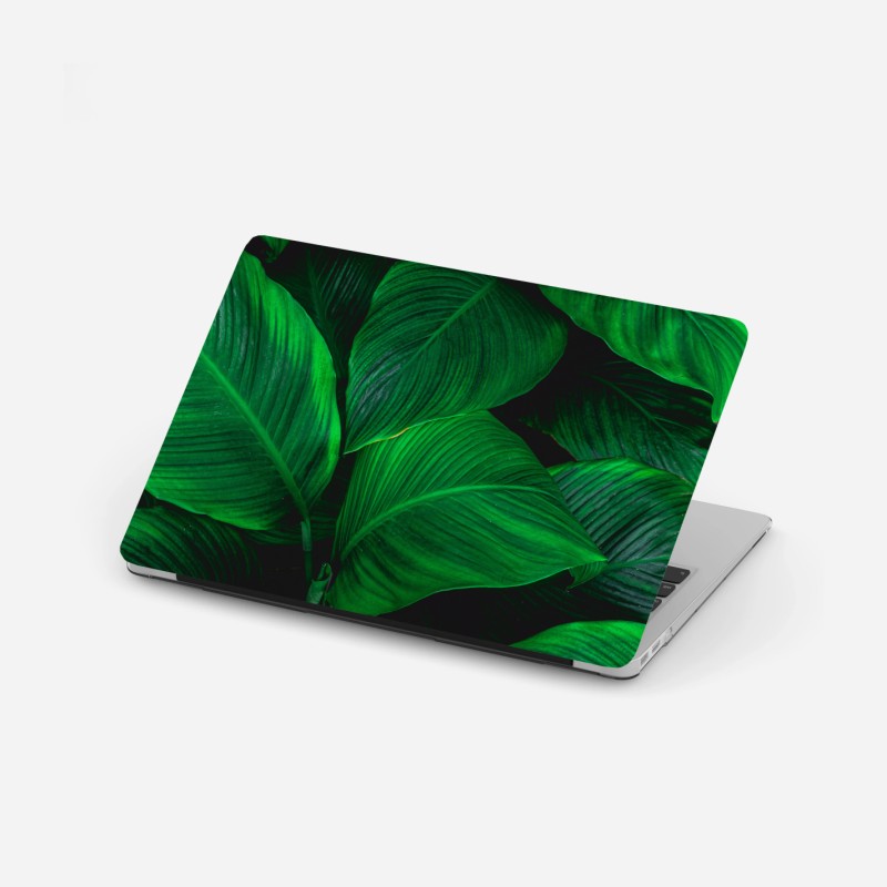 Laptop-Aufkleber goldenes flusstal – Wallnifity®