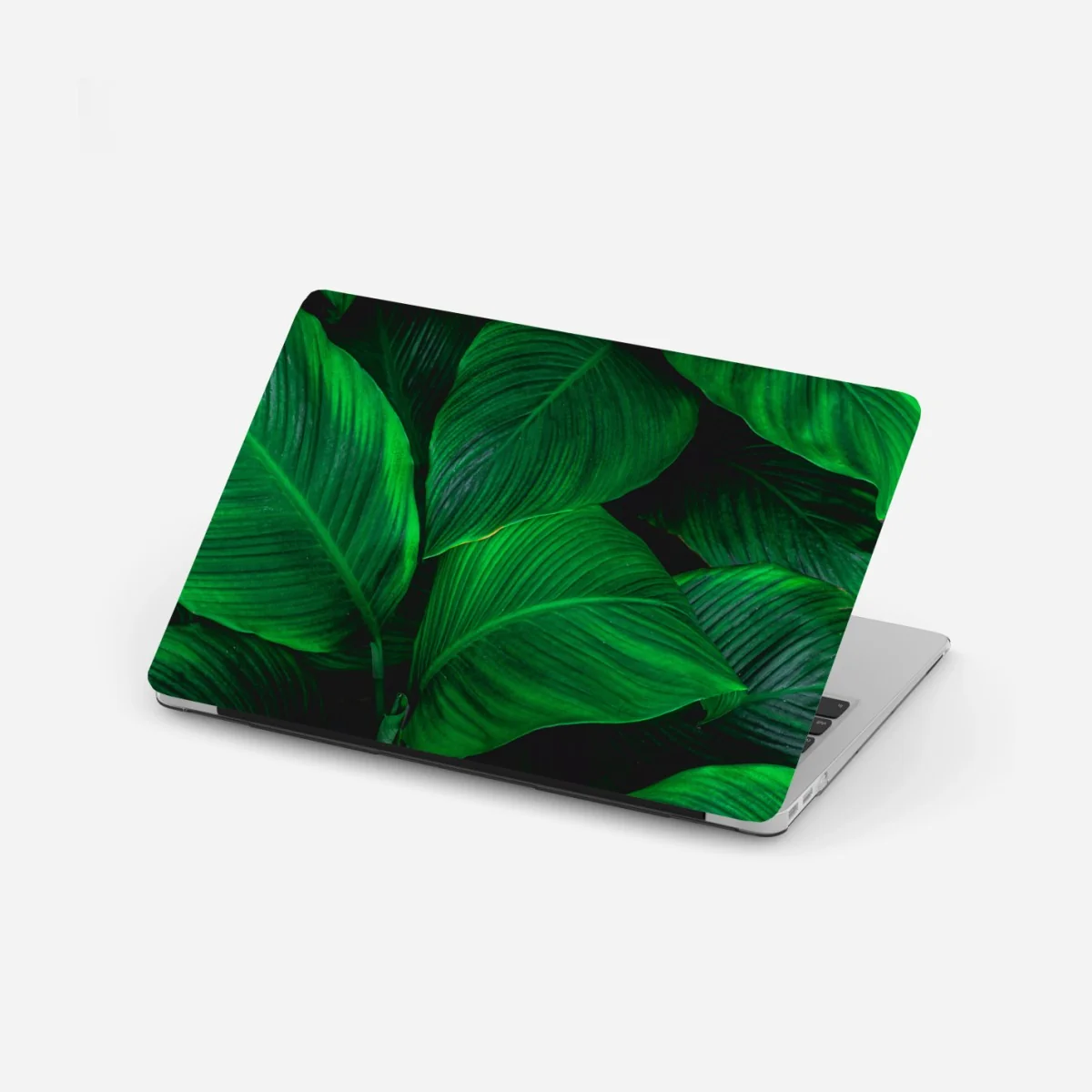 Laptop-Aufkleber üppige tropische blätter – Wallnifity® Laptop-Aufkleber üppige tropische blätter – Wallnifity®