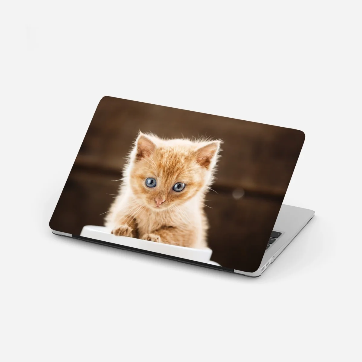 Laptop-Aufkleber rötliches kätzchen in einer teetasse – Wallnifity®