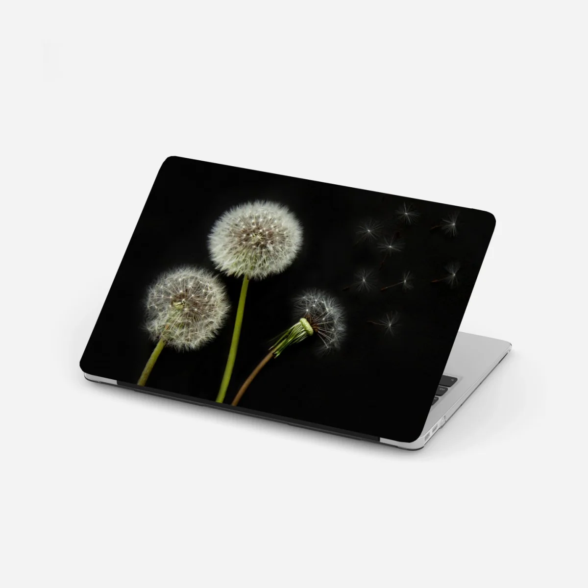 Laptop-Aufkleber zarte löwenzahnköpfe vor schwarzem hintergrund – Wallnifity® Laptop-Aufkleber zarte löwenzahnköpfe vor schwarzem hintergrund – Wallnifity®