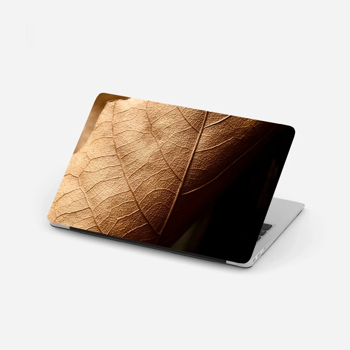 Laptop-Aufkleber strukturiertes trockenes blatt nahaufnahme – Wallnifity®