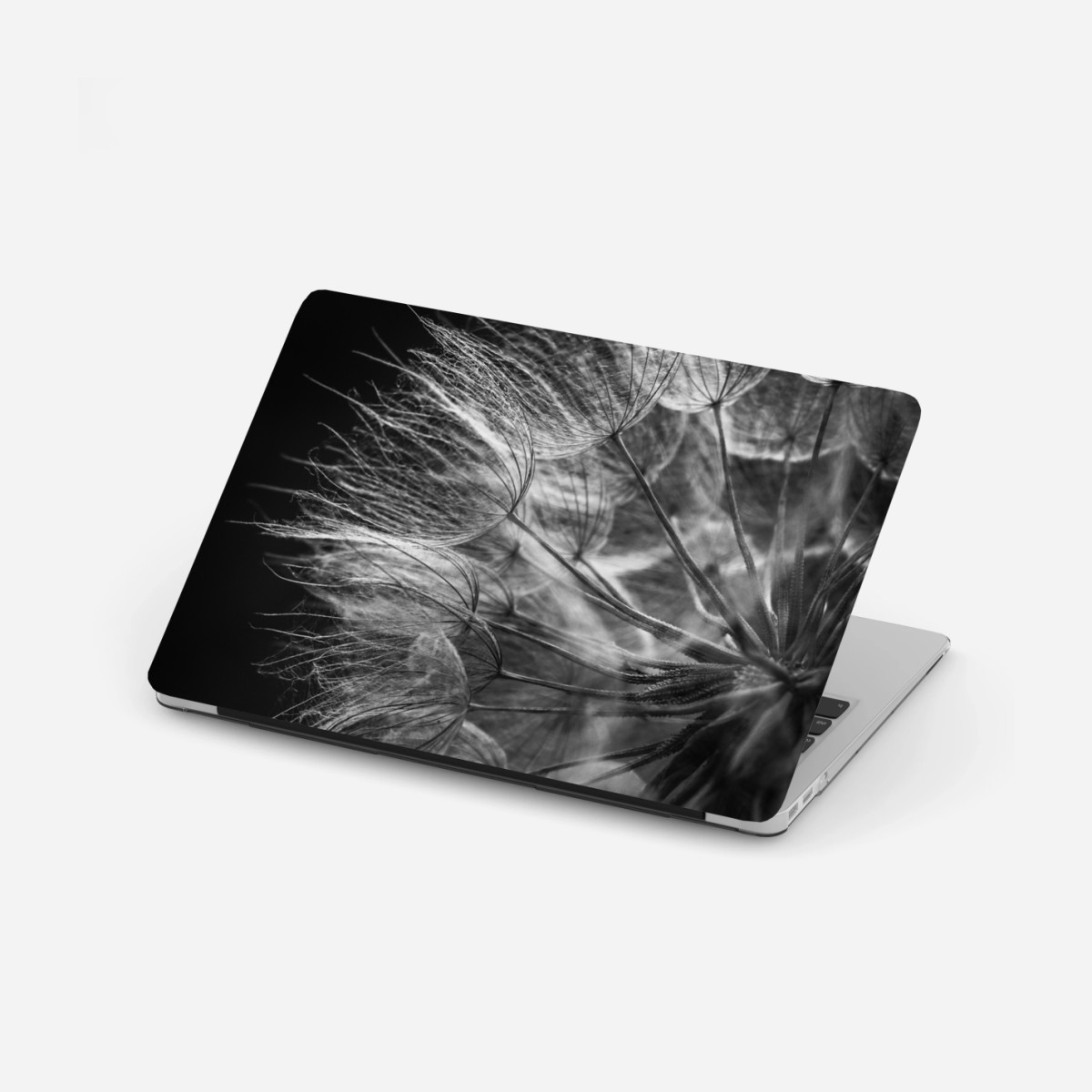 Laptop-Aufkleber zarter löwenzahn in monochrom – Wallnifity®