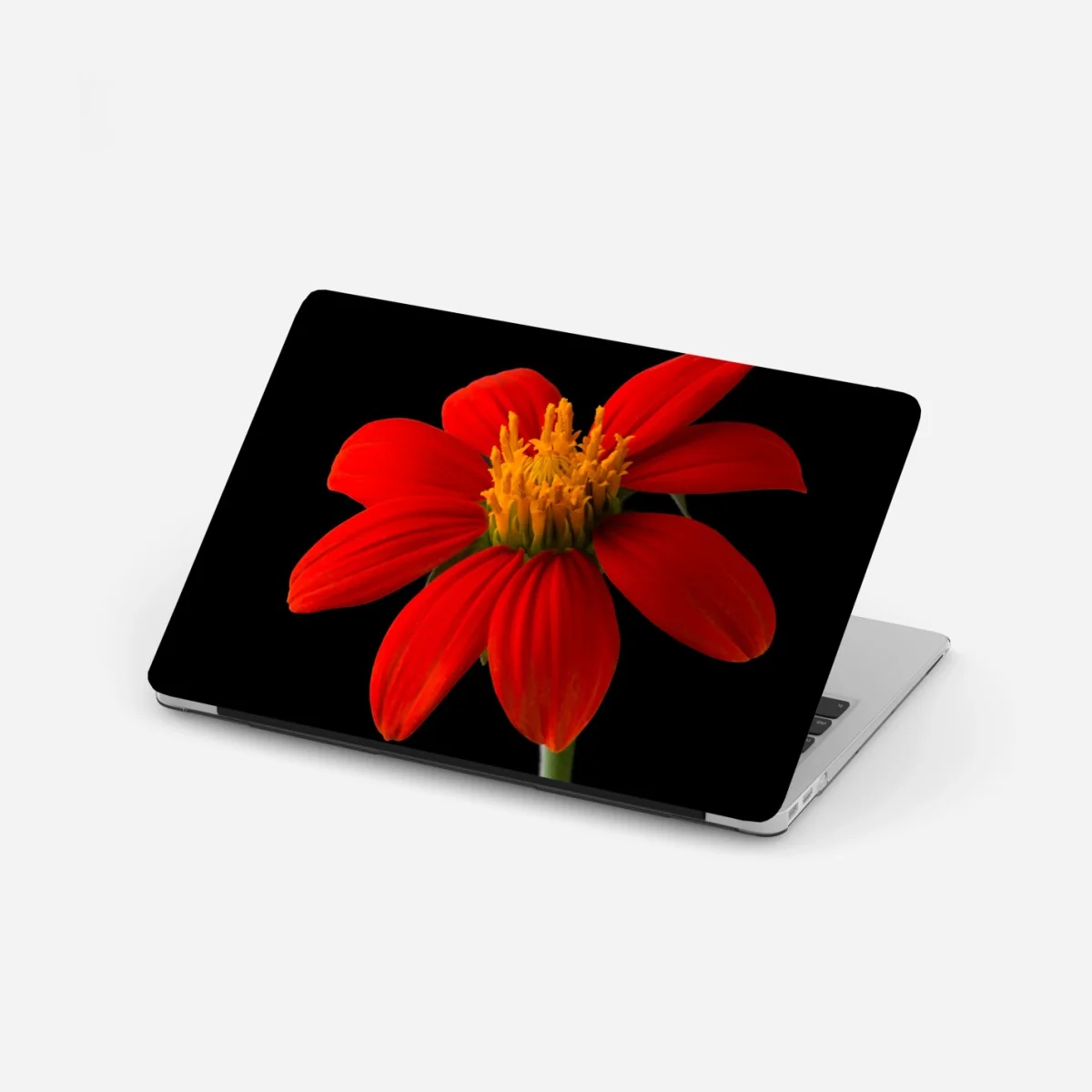 Laptop-Aufkleber leuchtende mexikanische sonnenblume auf schwarzem hintergrund – Wallnifity®