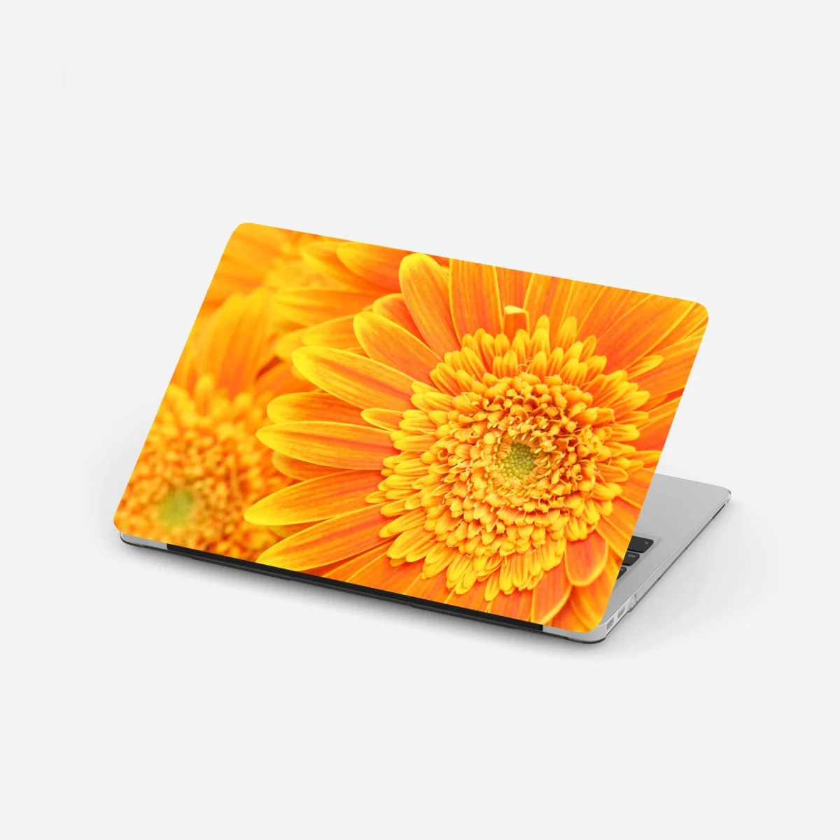 Laptop-Aufkleber leuchtende orange gerbera in makro – Wallnifity®
