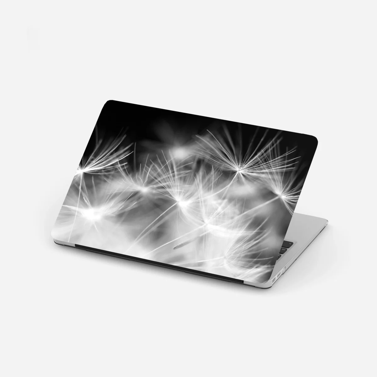 Laptop-Aufkleber zarte löwenzahnsamen in monochrom – Wallnifity®