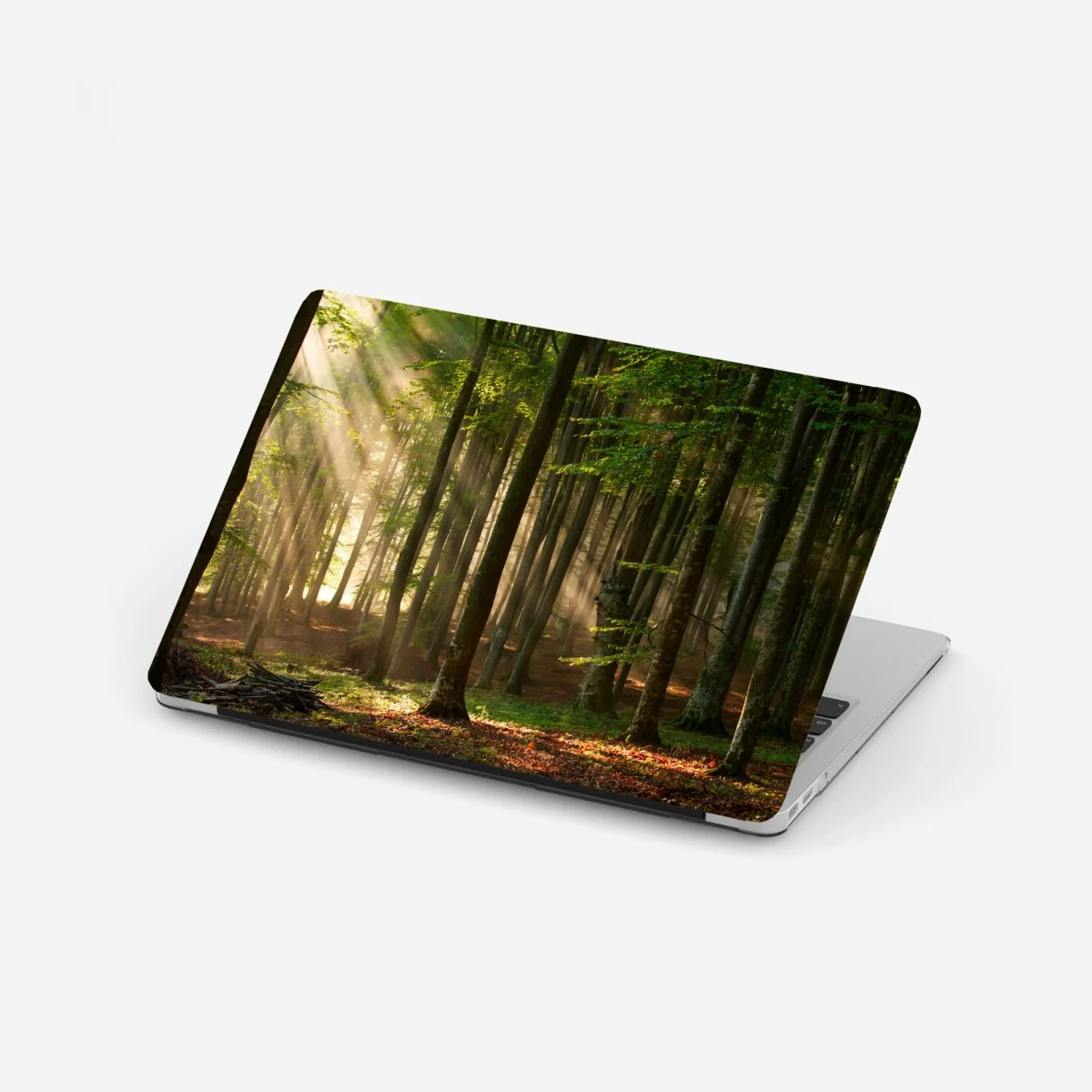 Laptop-Aufkleber morgendliches licht im buchenwald – Wallnifity® Laptop-Aufkleber morgendliches licht im buchenwald – Wallnifity®