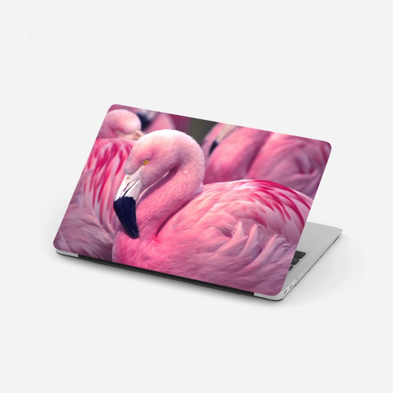 Laptop-Aufkleber rosa flamingo nahaufnahme
