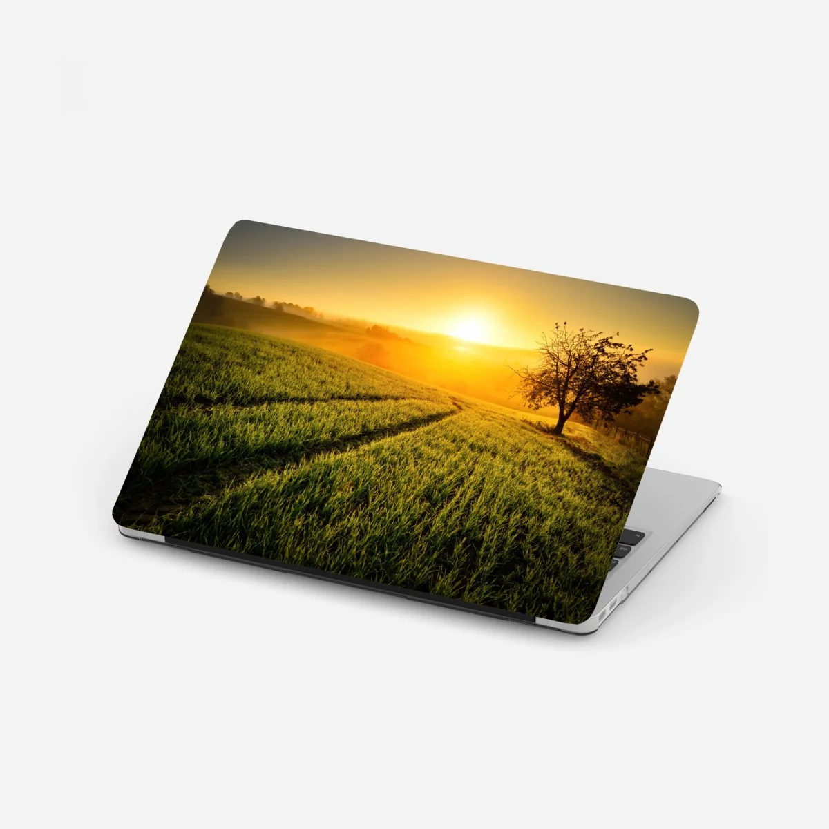 Laptop-Aufkleber sonnenbeschienene wiese im frühlicht – Wallnifity®