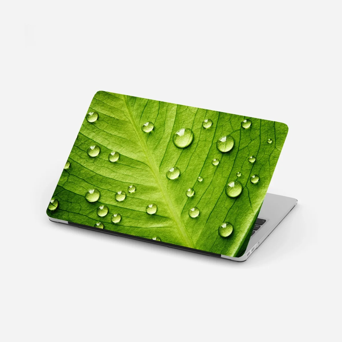 Laptop-Aufkleber frisches grünes blatt mit wassertropfen – Wallnifity® Laptop-Aufkleber frisches grünes blatt mit wassertropfen – Wallnifity®