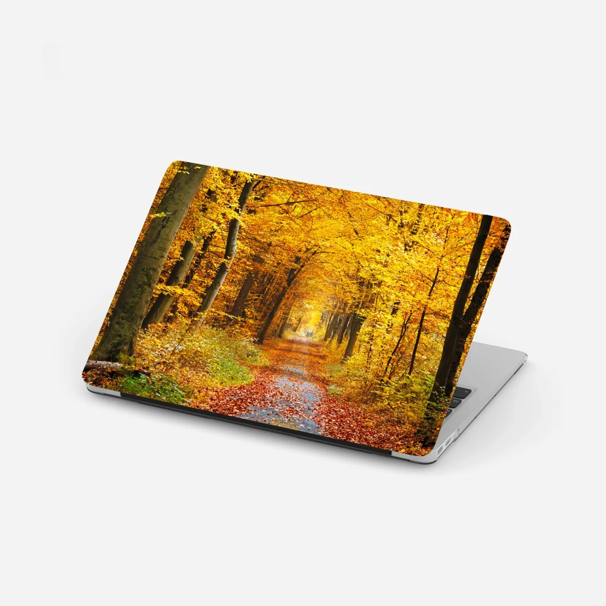 Laptop-Aufkleber goldener herbstwald pfad – Wallnifity® Laptop-Aufkleber goldener herbstwald pfad – Wallnifity®