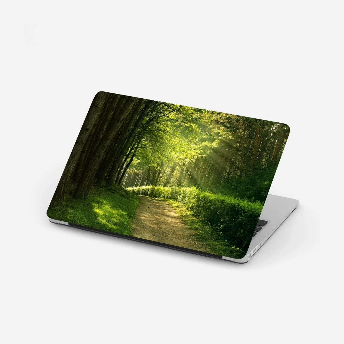 Laptop-Aufkleber sonnenbeschienener waldpfad im grünen – Wallnifity®