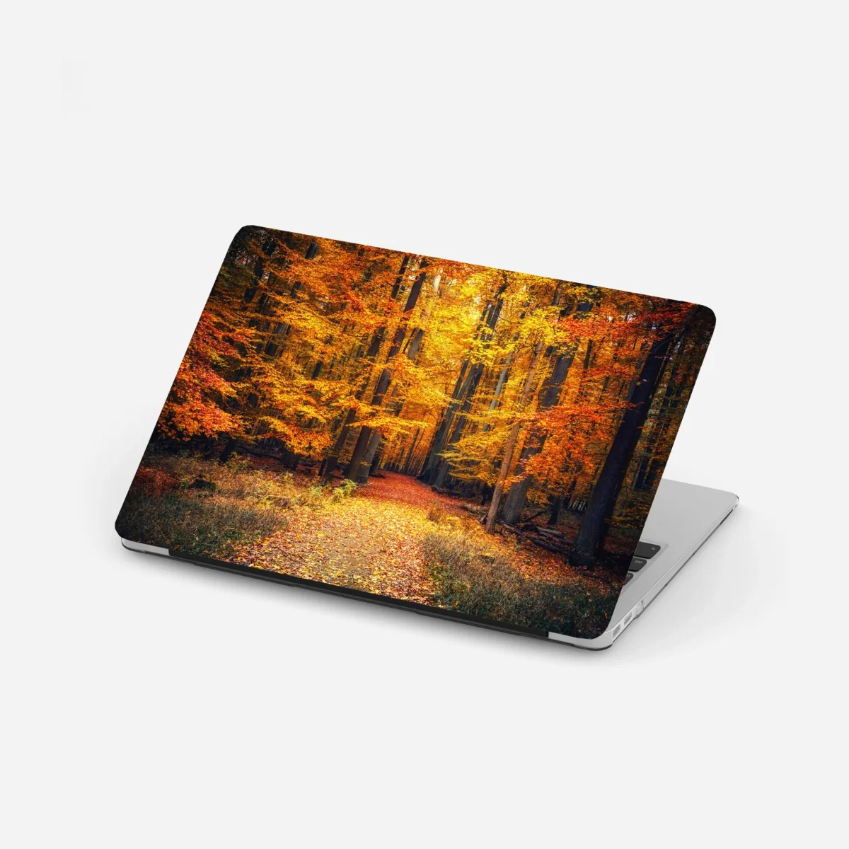 Laptop-Aufkleber herbstlicher waldpfad mit goldenen blättern – Wallnifity® Laptop-Aufkleber herbstlicher waldpfad mit goldenen blättern – Wallnifity®