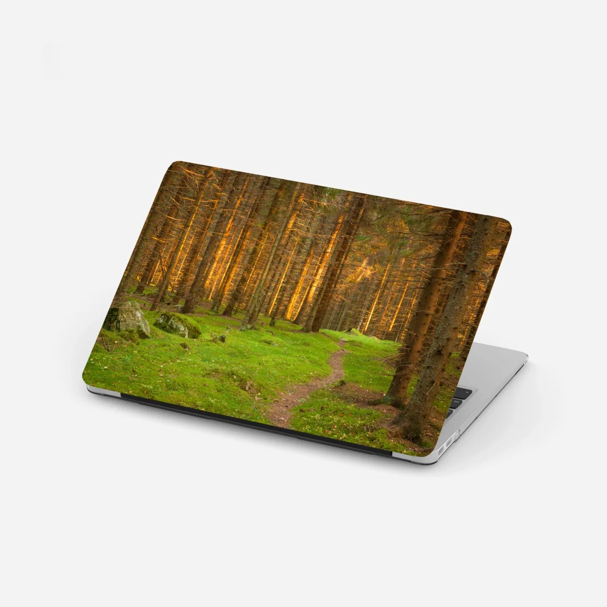 Laptop-Aufkleber goldenes licht im moosbedeckten kiefernwald – Wallnifity® Laptop-Aufkleber goldenes licht im moosbedeckten kiefernwald – Wallnifity®