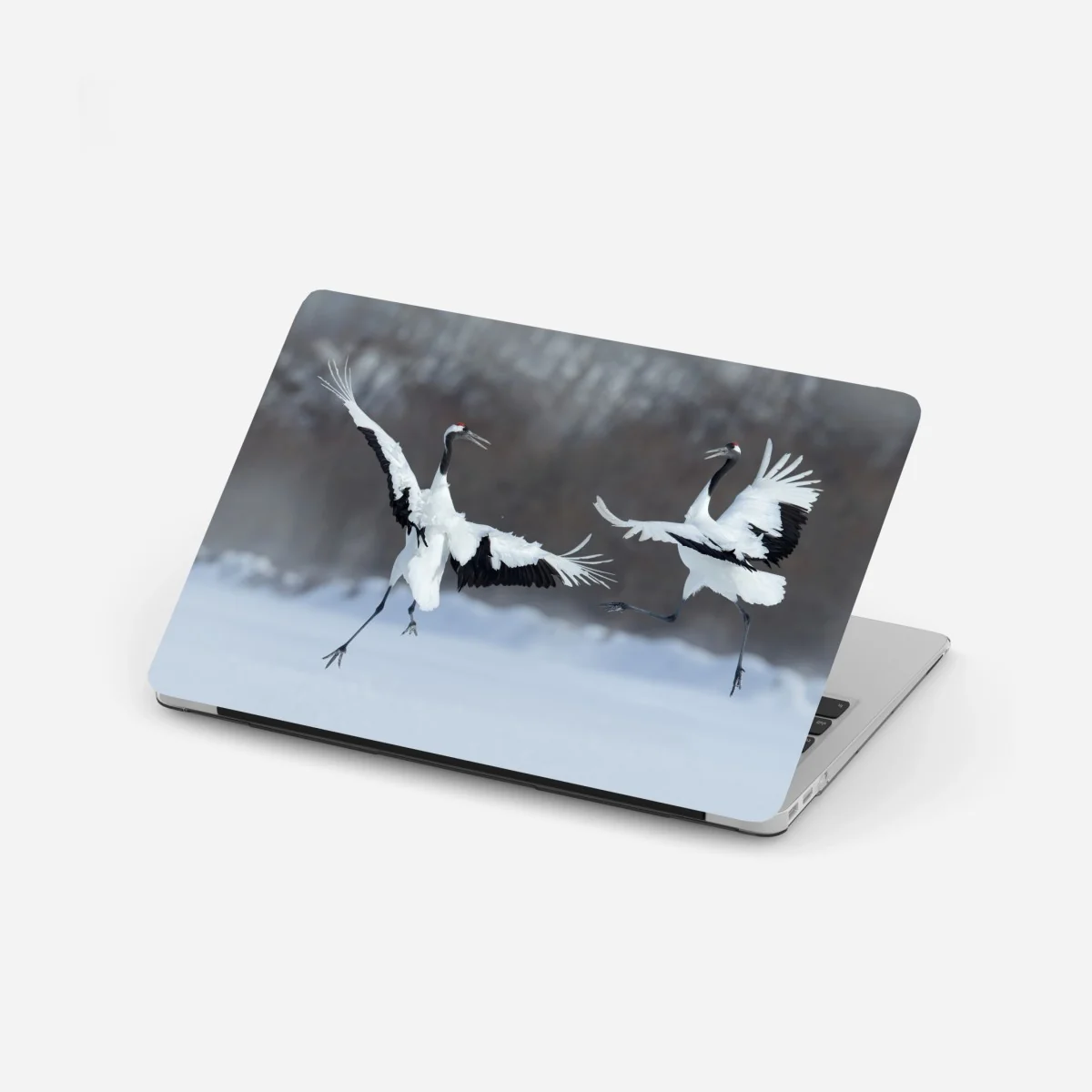Laptop-Aufkleber tanzende rotkronenkraniche im schnee, Hokkaido – Wallnifity® Laptop-Aufkleber tanzende rotkronenkraniche im schnee, Hokkaido – Wallnifity®