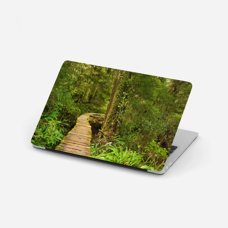 Laptop-Aufkleber steg im Pacific Rim regenwald