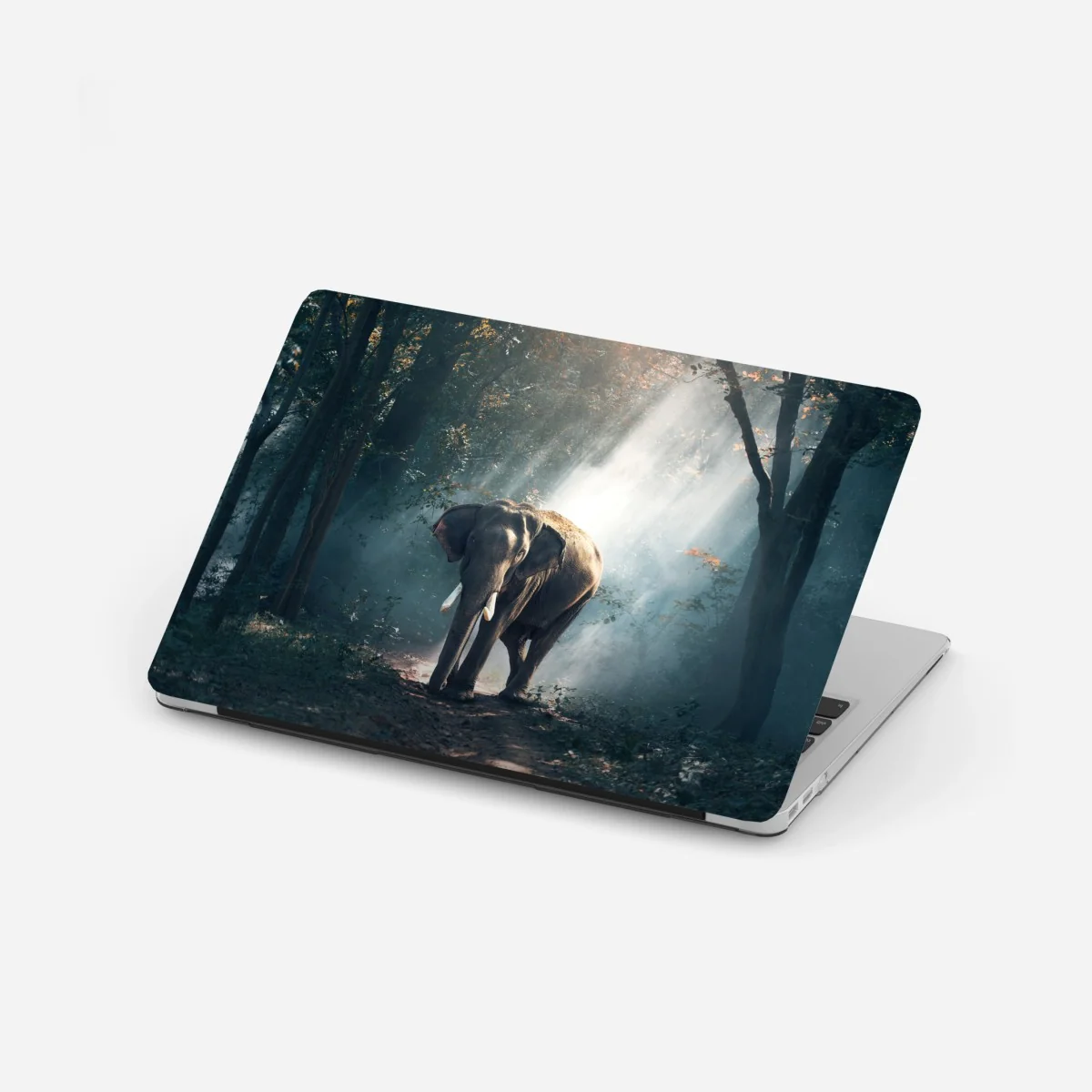 Laptop-Aufkleber majestätischer elefant im sonnenlichtdurchfluteten wald – Wallnifity®