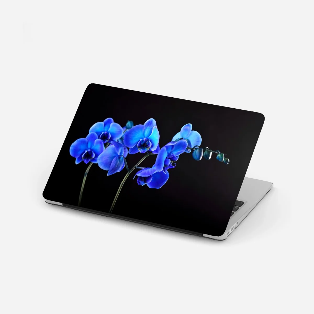 Laptop-Aufkleber leuchtende blaue orchidee vor schwarzem hintergrund – Wallnifity®