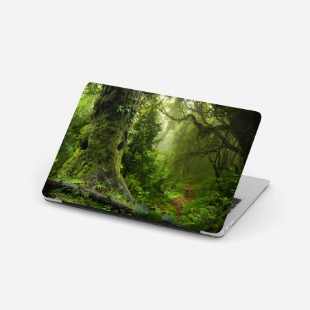 Laptop-Aufkleber moosiger alter waldpfad – Wallnifity®