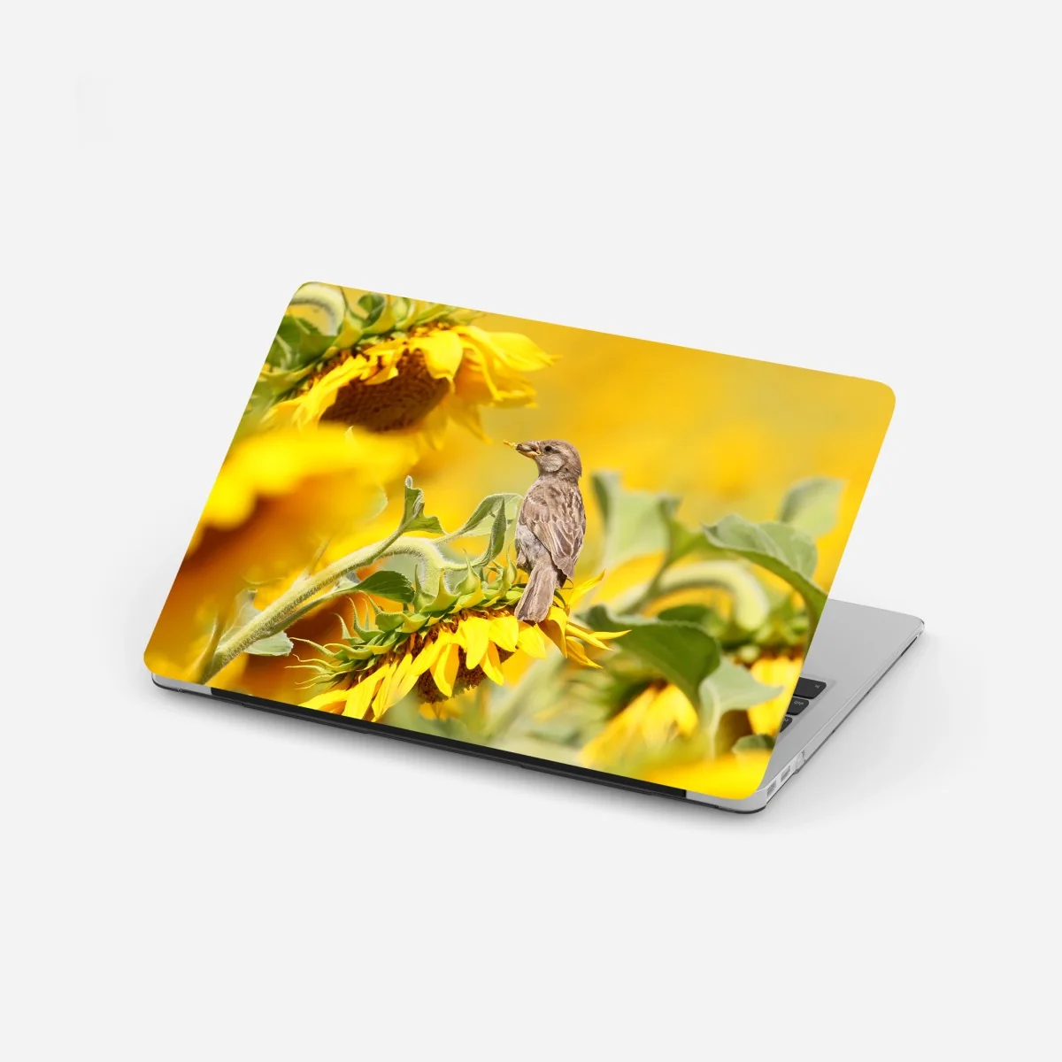 Laptop-Aufkleber spatz auf einer sonnenblume – Wallnifity® Laptop-Aufkleber spatz auf einer sonnenblume – Wallnifity®