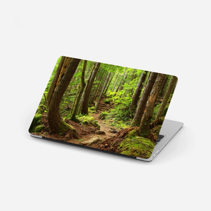 Laptop-Aufkleber moosiger waldpfad