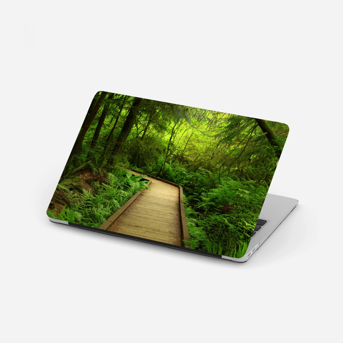 Laptop-Aufkleber ruhiger grüner waldsteg – Wallnifity®