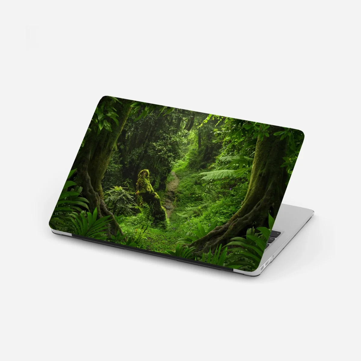 Laptop-Aufkleber verzauberter moosiger waldpfad – Wallnifity® Laptop-Aufkleber verzauberter moosiger waldpfad – Wallnifity®