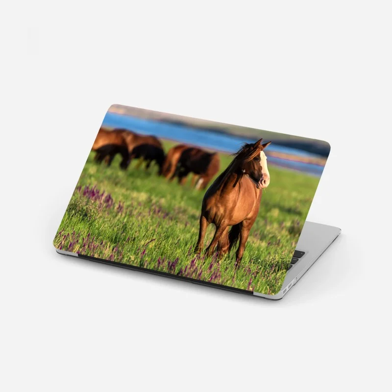 Laptop-Aufkleber majestätisches braunes pferd auf einer sonnenbeschienenen wiese