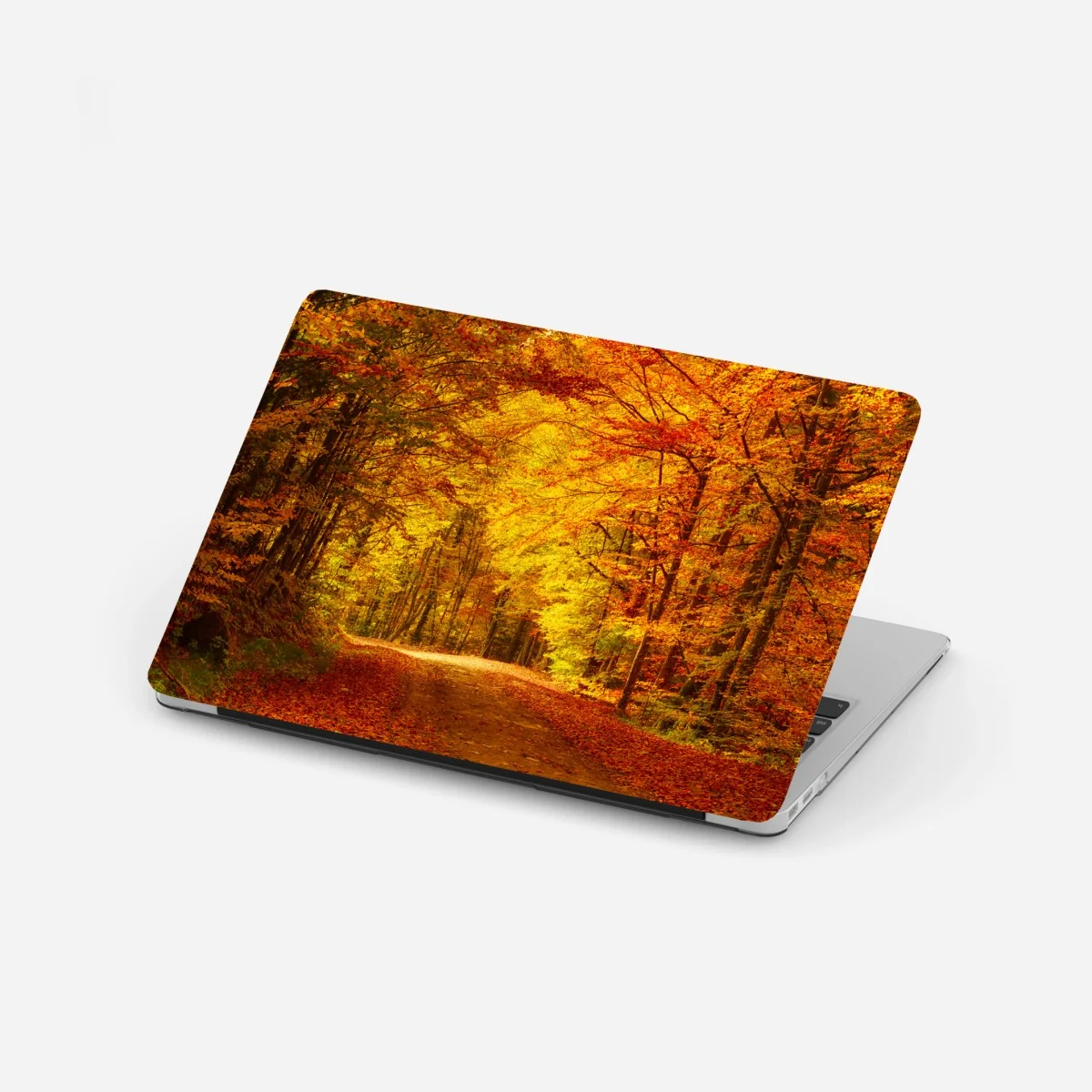 Laptop-Aufkleber goldener herbstwaldweg – Wallnifity®