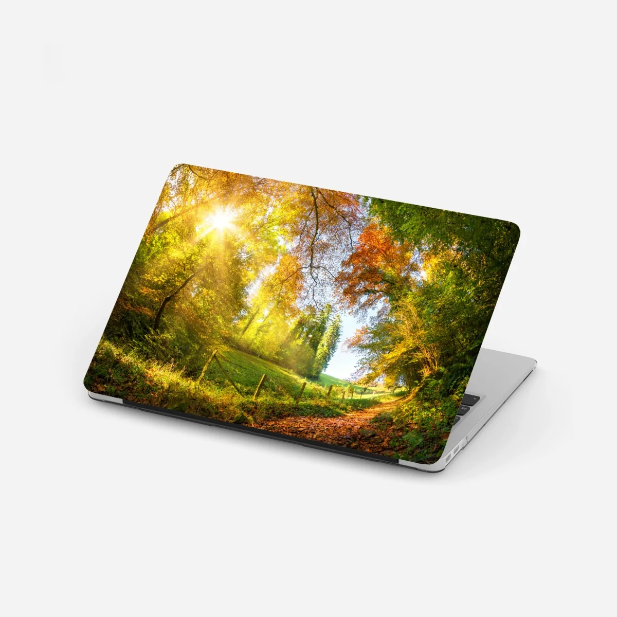 Laptop-Aufkleber goldener herbstwaldweg – Wallnifity® Laptop-Aufkleber goldener herbstwaldweg – Wallnifity®