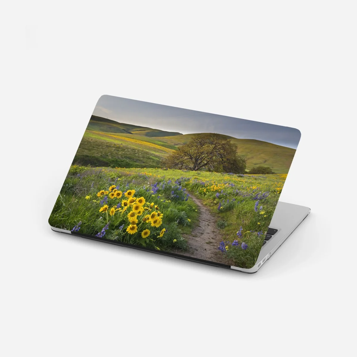 Laptop-Aufkleber pfad durch blumenwiese mit eichenbaum – Wallnifity® Laptop-Aufkleber pfad durch blumenwiese mit eichenbaum – Wallnifity®
