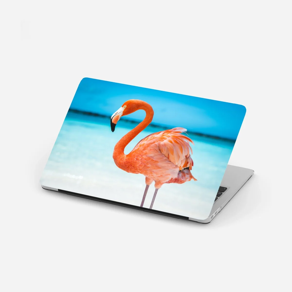 Laptop-Aufkleber leuchtender rosa flamingo am türkisfarbenen strand – Wallnifity® Laptop-Aufkleber leuchtender rosa flamingo am türkisfarbenen strand – Wallnifity®