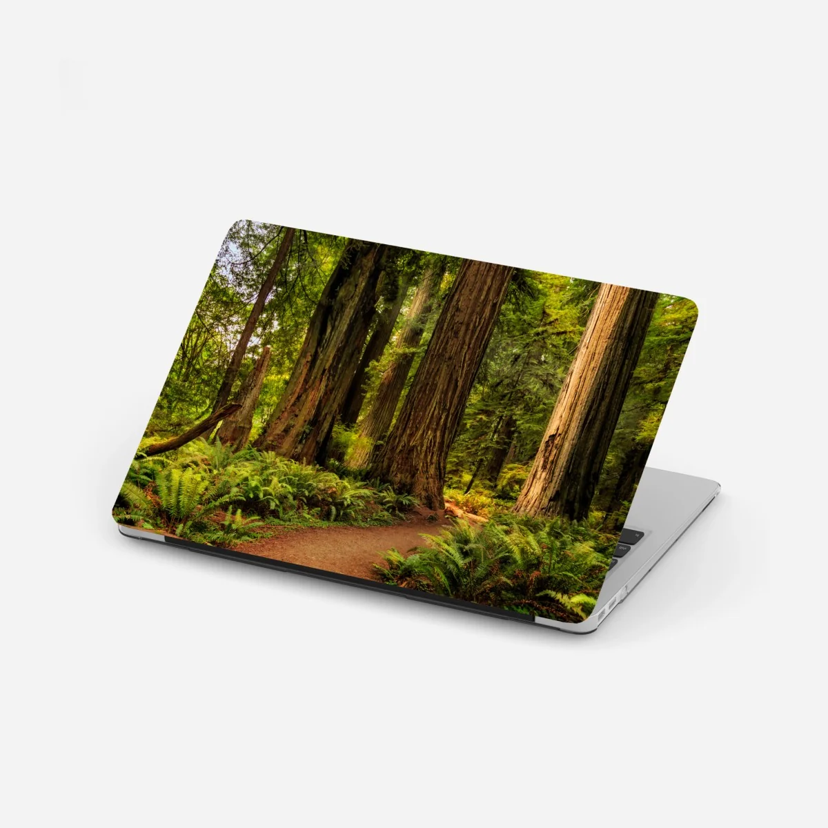 Laptop-Aufkleber Kalifornien mammutbäume waldweg – Wallnifity® Laptop-Aufkleber Kalifornien mammutbäume waldweg – Wallnifity®