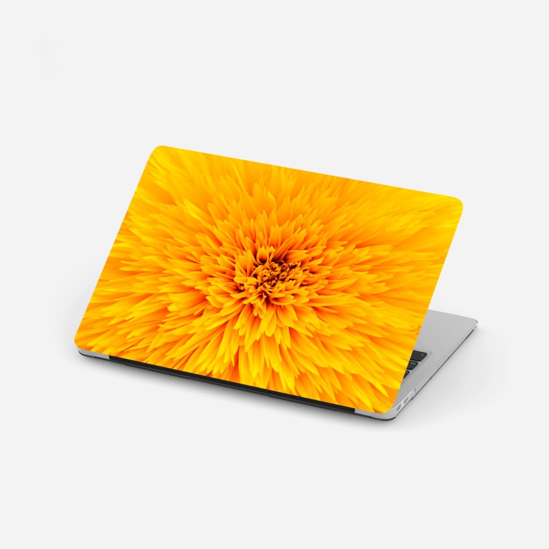 Laptop-Aufkleber pfad durch blumenwiese mit eichenbaum – Wallnifity®