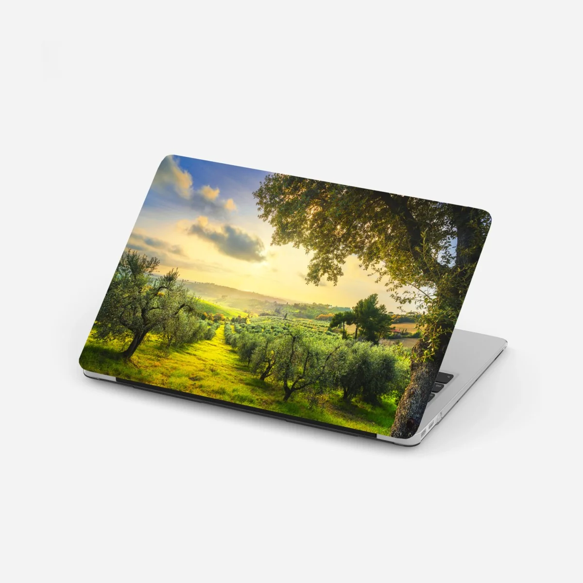 Laptop-Aufkleber olivenhain bei sonnenuntergang in Maremma, Toskana – Wallnifity®