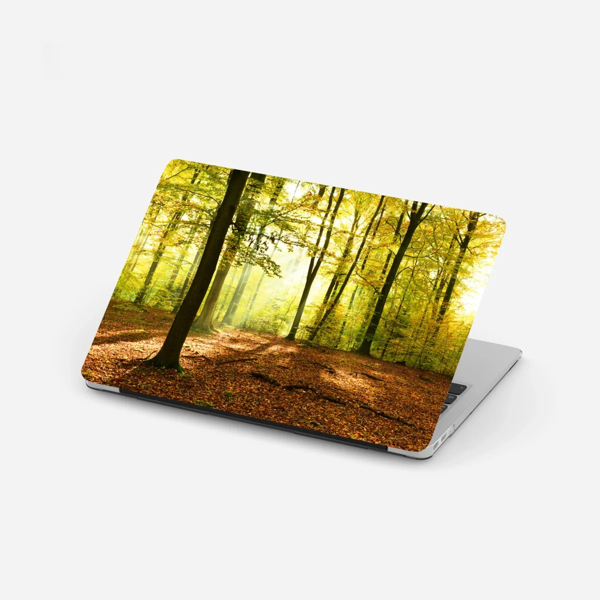 Laptop-Aufkleber goldener herbstwald am morgen – Wallnifity® Laptop-Aufkleber goldener herbstwald am morgen – Wallnifity®