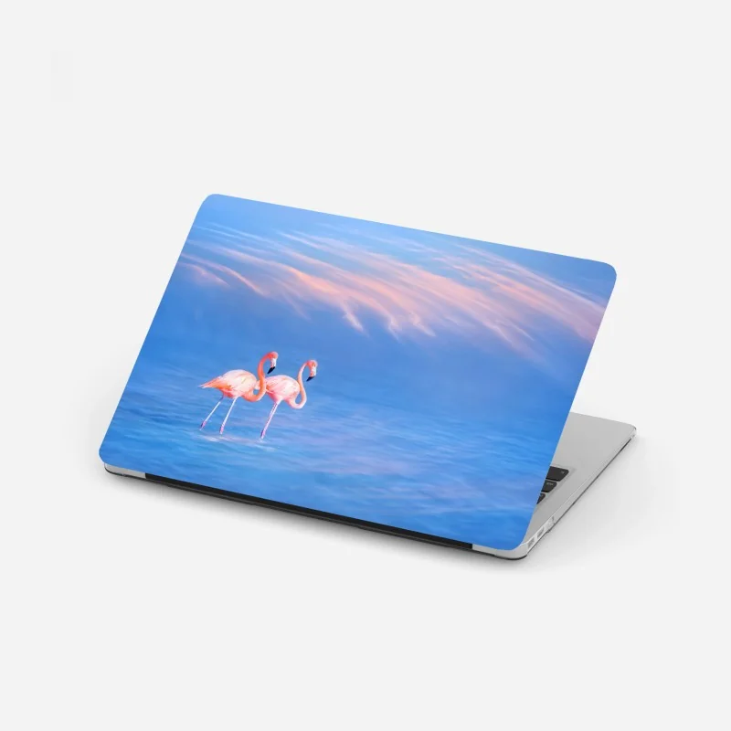 Laptop-Aufkleber rosa flamingos auf pastellfarbenem wasser – Wallnifity® Laptop-Aufkleber rosa flamingos auf pastellfarbenem wasser – Wallnifity®