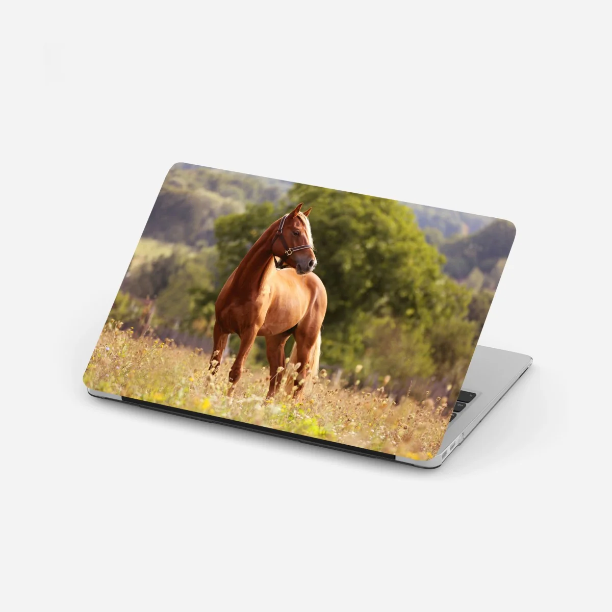 Laptop-Aufkleber majestätisches kastanienbraunes pferd auf sommerlicher wiese – Wallnifity®