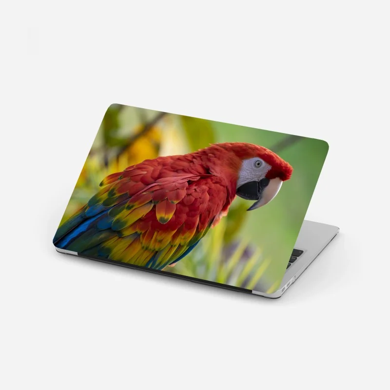 Laptop-Aufkleber küstendorf in Norwegen mit roten fischerhütten – Wallnifity®