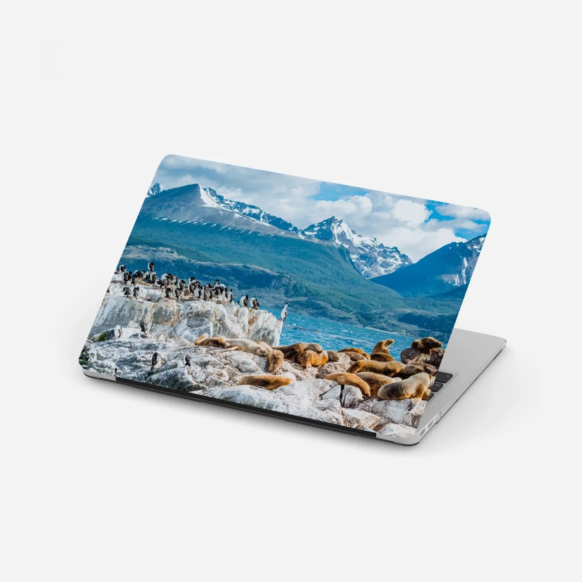 Laptop-Aufkleber seelöwen und seevögel an der felsküste – Wallnifity® Laptop-Aufkleber seelöwen und seevögel an der felsküste – Wallnifity®