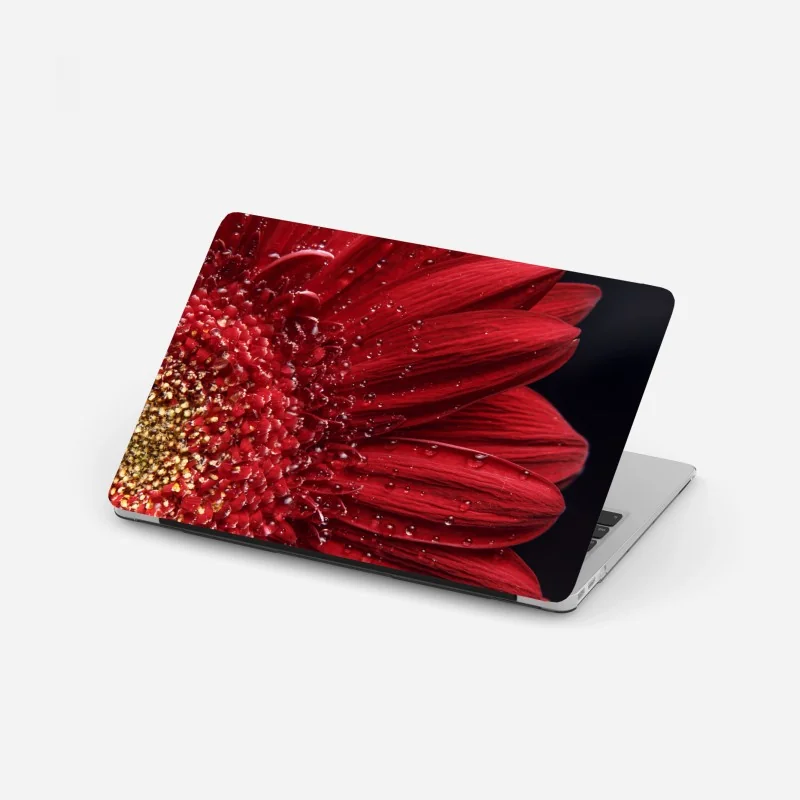 Laptop-Aufkleber sonnenaufgang über der sommerwiese – Wallnifity®